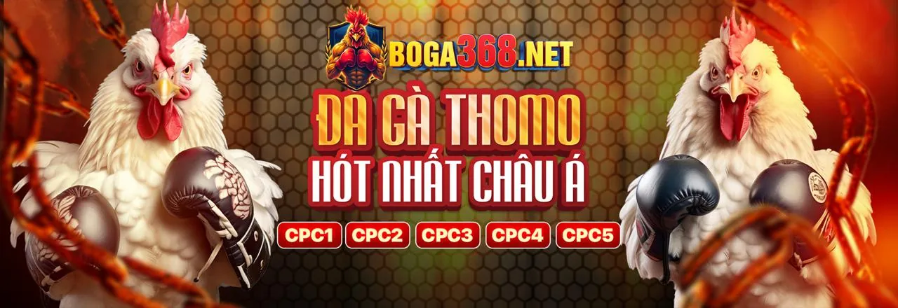 Hình ảnh đại diện chính sách cookie xeng88 trang chủ